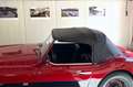 Austin-Healey 100 AUSTIN-HEALEY 3000 Gerestaureerd en scherp geprijs Rot - thumbnail 14