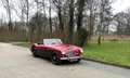 Austin-Healey 100 AUSTIN-HEALEY 3000 Gerestaureerd en scherp geprijs Rot - thumbnail 10