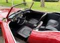 Austin-Healey 100 AUSTIN-HEALEY 3000 Gerestaureerd en scherp geprijs Rot - thumbnail 2