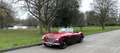 Austin-Healey 100 AUSTIN-HEALEY 3000 Gerestaureerd en scherp geprijs Rot - thumbnail 16