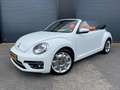 Volkswagen Beetle Cabriolet 1.4 TSI Exclusive Series 1e eig., Full O Wit - thumbnail 1