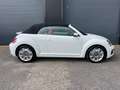 Volkswagen Beetle Cabriolet 1.4 TSI Exclusive Series 1e eig., Full O Wit - thumbnail 10