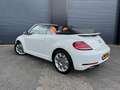 Volkswagen Beetle Cabriolet 1.4 TSI Exclusive Series 1e eig., Full O Wit - thumbnail 4
