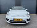 Volkswagen Beetle Cabriolet 1.4 TSI Exclusive Series 1e eig., Full O Wit - thumbnail 12