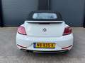 Volkswagen Beetle Cabriolet 1.4 TSI Exclusive Series 1e eig., Full O Wit - thumbnail 6