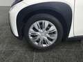 Toyota Aygo 1.0 Play Kamera, DAB, Weiß - thumbnail 15