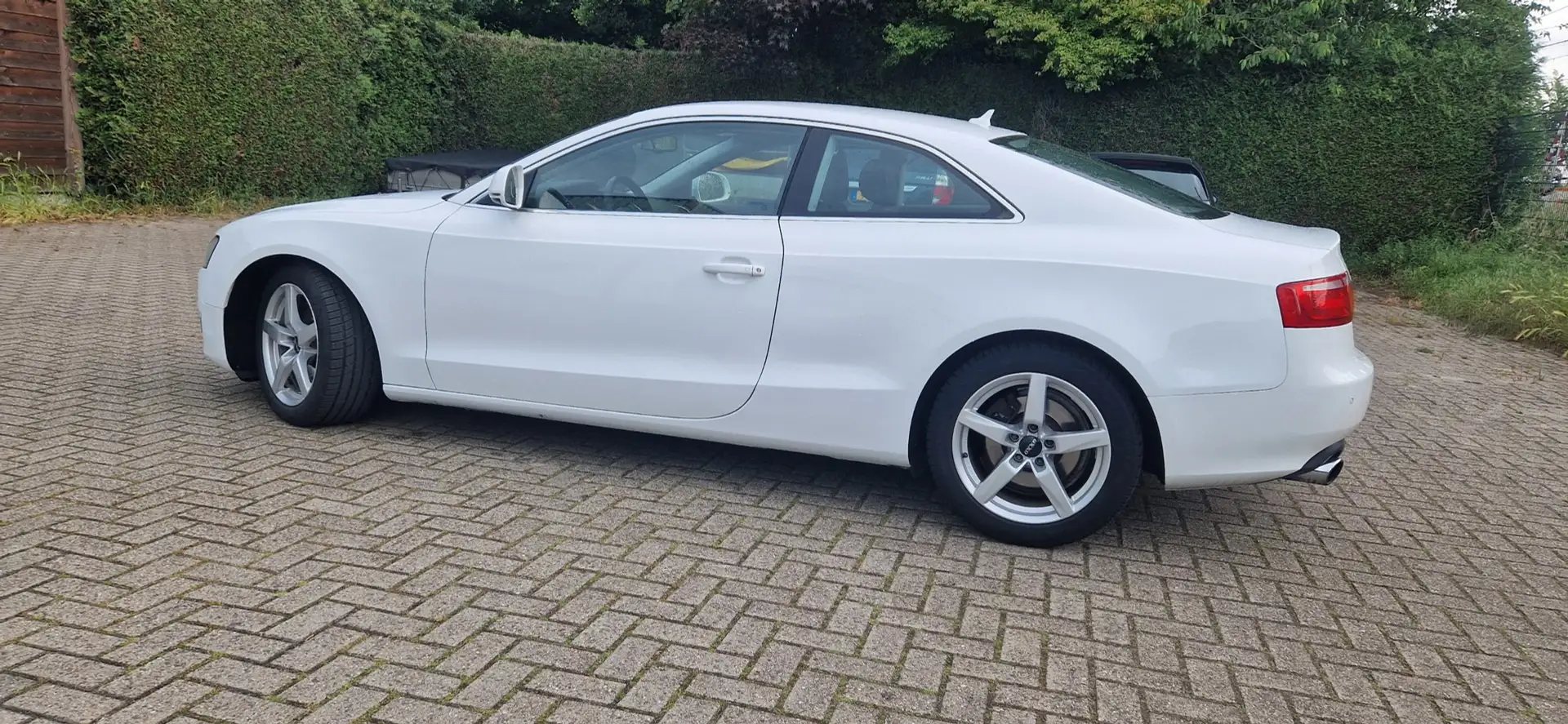 Audi A5 Coupé 2.7 TDI Pro Line Blanc - 2