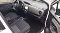 Toyota Yaris Yaris 5p 1.5h Business Blanc - thumbnail 13