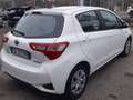 Toyota Yaris Yaris 5p 1.5h Business Blanc - thumbnail 5