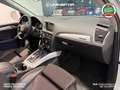 Audi Q5 Advanced 2.0 TDI quattro 163cv S-tronic Blanc - thumbnail 10