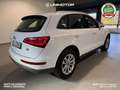 Audi Q5 Advanced 2.0 TDI quattro 163cv S-tronic Blanc - thumbnail 6