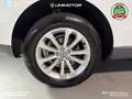 Audi Q5 Advanced 2.0 TDI quattro 163cv S-tronic Blanc - thumbnail 7