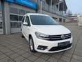 Volkswagen Caddy PKW Comfortline*DSG*LED*Bi-Xenon* Weiß - thumbnail 8