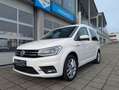 Volkswagen Caddy PKW Comfortline*DSG*LED*Bi-Xenon* Weiß - thumbnail 5