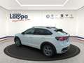 Volkswagen Taigo R-Line 1.0 TSI 6-Gang NAV,RFK,SHZ,Matrix-LED Bianco - thumbnail 3