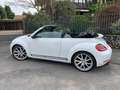 Volkswagen Maggiolino Cabrio 2.0 tsi Sport 210cv dsg - thumbnail 15