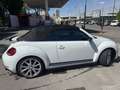 Volkswagen Maggiolino Cabrio 2.0 tsi Sport 210cv dsg - thumbnail 7