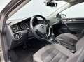 Volkswagen Golf VII 1.6 TDI BLUE MOTION DSG7 S&S 105 CV Grau - thumbnail 11