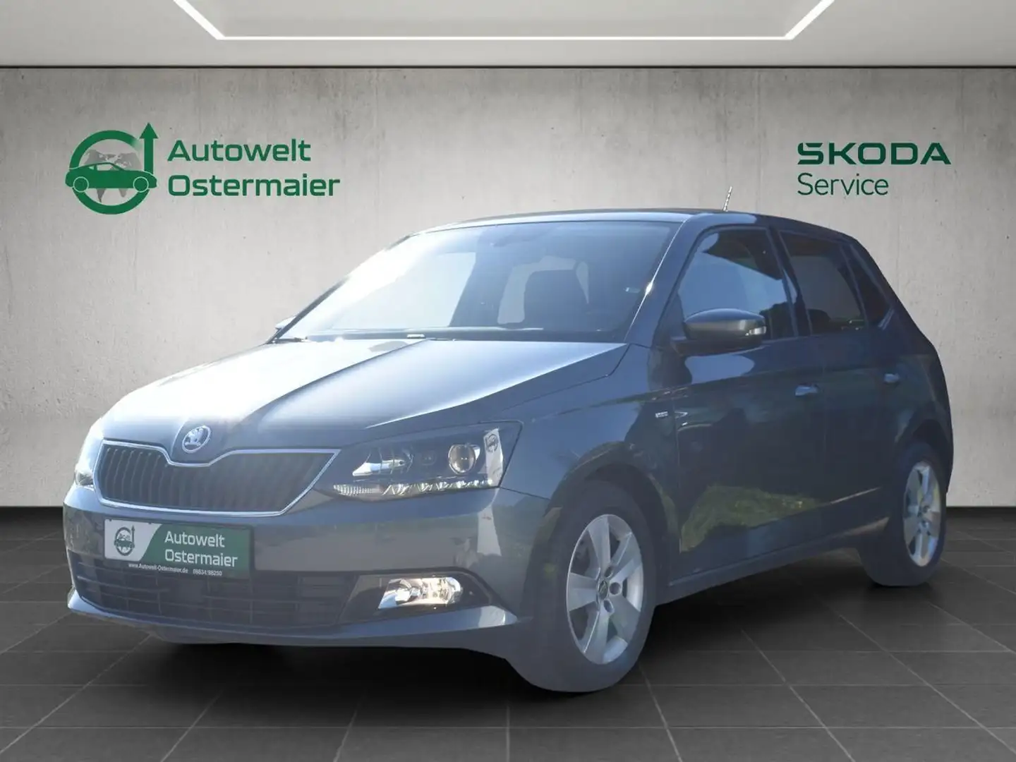 Skoda Fabia 1.0 TSI Clever*Smartlink*Navi*Climtr.* Grau - 1