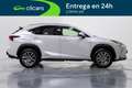 Lexus NX 300h Executive 4WD Blanco - thumbnail 7