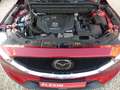 Mazda CX-5 AWD/HUD/Leder/360/Matrix-LED/Sitzlüftung Rot - thumbnail 20