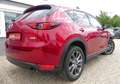 Mazda CX-5 AWD/HUD/Leder/360/Matrix-LED/Sitzlüftung Rot - thumbnail 7
