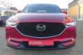 Mazda CX-5 AWD/HUD/Leder/360/Matrix-LED/Sitzlüftung Rot - thumbnail 3