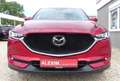 Mazda CX-5 AWD/HUD/Leder/360/Matrix-LED/Sitzlüftung Rot - thumbnail 3