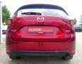 Mazda CX-5 AWD/HUD/Leder/360/Matrix-LED/Sitzlüftung Rot - thumbnail 6