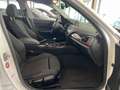 BMW 116 Baureihe 1 Lim. 5-trg. 116 i Sport-Line Blanco - thumbnail 10