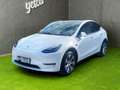Tesla Model Y Model Y Long Range AWD 75kWh Enhanced Autopilot Weiß - thumbnail 1
