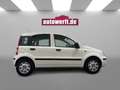 Fiat Panda 1.2 8V 4TÜRER TÜV07.2027 !! VOLL-FAHRBEREIT! Weiß - thumbnail 6