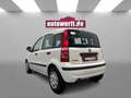 Fiat Panda 1.2 8V 4TÜRER TÜV07.2027 !! VOLL-FAHRBEREIT! Weiß - thumbnail 4