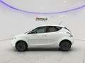 Lancia Ypsilon 1.2 69 CV 5 porte GPL Ecochic Gold Bianco - thumbnail 4