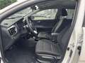 Kia Stonic STONIC 1.0T AUTOMATIK VISION Bianco - thumbnail 12