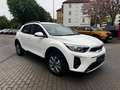 Kia Stonic STONIC 1.0T AUTOMATIK VISION Weiß - thumbnail 4