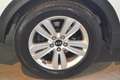 Kia Sportage 1.7 CRDI 2WD Business Class Bianco - thumbnail 4