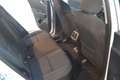 Kia Sportage 1.7 CRDI 2WD Business Class Bianco - thumbnail 7