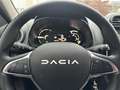 Dacia Spring ELECTRIC 45  Expression Argent - thumbnail 25