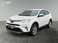 Toyota RAV 4 RAV4 2.5 Edition S ++elektr. Heckklappe+Kamera++ Fehér - thumbnail 2