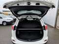 Toyota RAV 4 RAV4 2.5 Edition S ++elektr. Heckklappe+Kamera++ Fehér - thumbnail 20