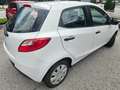 Mazda 2 1,3iCE PRO KLIMA EURO5B PERFEKT!!! Bianco - thumbnail 4