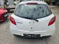 Mazda 2 1,3iCE PRO KLIMA EURO5B PERFEKT!!! Bianco - thumbnail 5