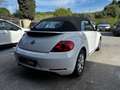 Volkswagen Coccinelle Coccinelle Cabriolet 1.2 16V TSI - 105ch Vintage Blanc - thumbnail 9