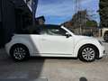 Volkswagen Coccinelle Coccinelle Cabriolet 1.2 16V TSI - 105ch Vintage Blanc - thumbnail 4