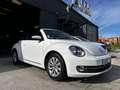 Volkswagen Coccinelle Coccinelle Cabriolet 1.2 16V TSI - 105ch Vintage Blanc - thumbnail 15