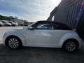 Volkswagen Coccinelle Coccinelle Cabriolet 1.2 16V TSI - 105ch Vintage Blanc - thumbnail 10