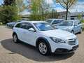 Opel Insignia A Country Tourer Basis 4x4 Weiß - thumbnail 9
