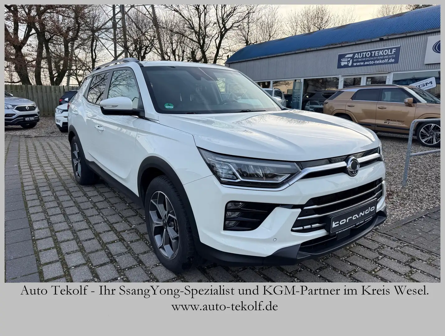 SsangYong Korando Sapphire 1.6l Diesel inkl. Automatik, AHK, Allrad Weiß - 1