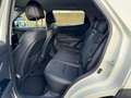 SsangYong Korando Sapphire 1.6l Diesel inkl. Automatik, AHK, Allrad Weiß - thumbnail 16